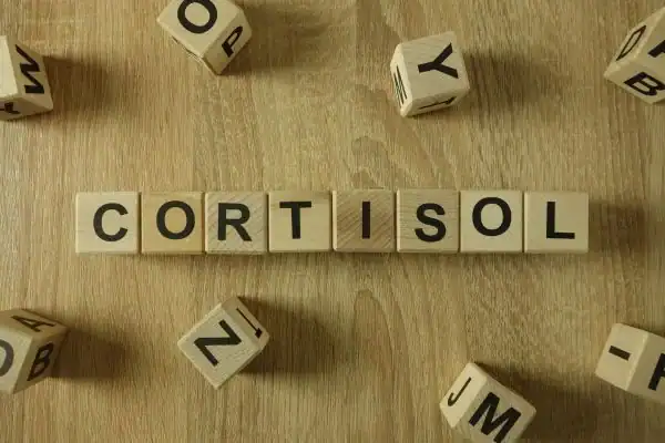 The Hidden Connection: How Stress Shapes Your Fitness and Body Composition 2 Image saying "Cortisol" and how stress Bournemouth impacts your wellbeing and bodies shape